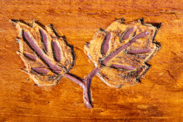 fondo textura de madera con hoja dibujada