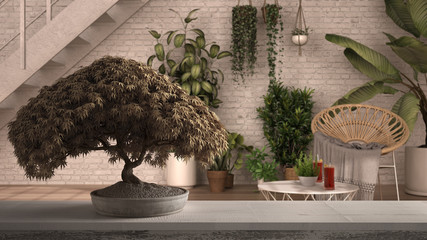 Vintage wooden table shelf with potted bloom bonsai, beige leaves, flowers, over modern conservatory, winter garden, lounge interior design, zen clean architecture concept idea