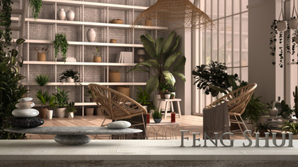 Vintage wooden table shelf with pebble balance and 3d letters making the word feng shui over modern conservatory, winter garden, lounge with armchair, zen concept interior design