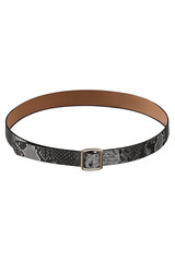 Subject shot of a showy gray leather belt with black snake pattern and a golden buckle. The stylish belt is isolated on the white background.