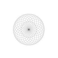 flower of life geometry 24 petals