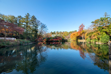 井の頭恩賜公園