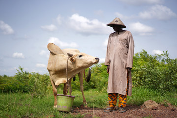 West African Sheperd Watering His Animals At A Natural Pool During The Rainy Season