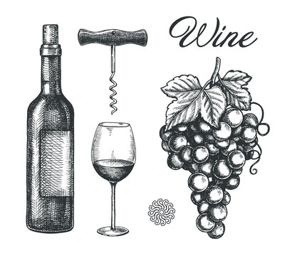 Hand Drawn Wine Elements including wine glass, bottle, wine cork, grape, corkscrew. 