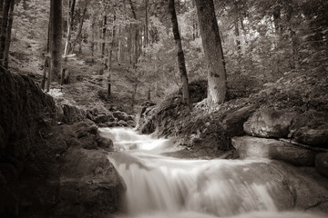 Fluss im Wald in schwatz weiss