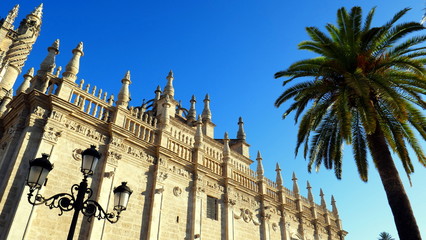 Seitenansicht der Kathedrale in Sevilla mit Palme vor blauem Himmel