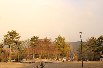 Obraz premium 虹