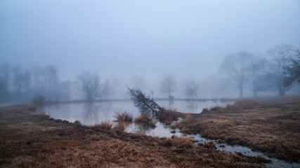 Wild winter fog with lake