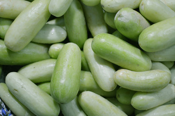 white green cucumber in Indian market