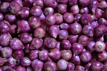 onion in Indian Market