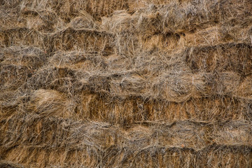 The brown hay on top view for background