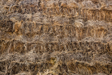 The brown hay on top view for background