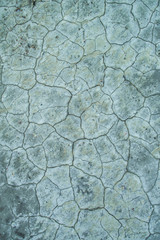 classic blue. global warming. On the dry ground,Concept drought and shortage of water crisis. cracked ground