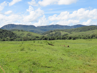 Naklejka premium Rural area in the city of Tiradentes Minas Gerais. Brazil. Fields and mountains in the background.