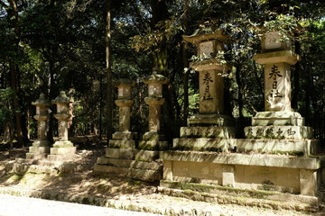 Fototapeta na wymiar 奈良の春日大社の石灯籠が並ぶ参道の風景