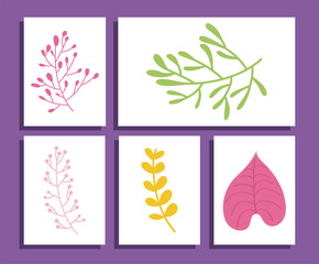 Natural leaves inside frames vector design