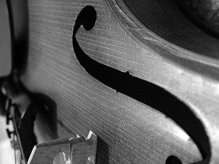 Violin