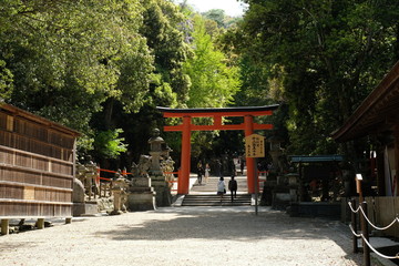 奈良の春日大社の石灯籠と鳥居が並ぶ参道の風景