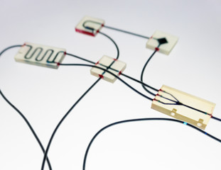 Organ-on-a-chip (OOC) - microfluidic device chip that simulates biological organs that is type of artificial organ. Prototype of design lab-on-a-chip in microfluidic laboratory