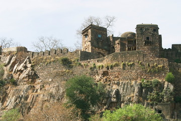 Fototapeta na wymiar Fort Ranthambore National park, Rajasthan, India.