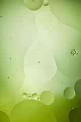 creative background from mixed water and oil bubbles in green color