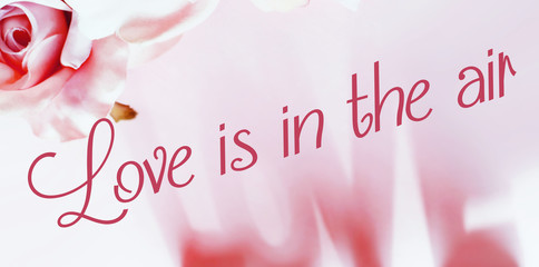 Pretty pink roses on a pink background form a border above the word love, which is softly shaped...