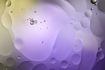purple and green color abstract background from mixed water and oil