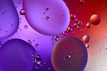 creative abstract purple and red color background from mixed water and oil bubbles