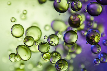 creative purple and green color abstract background from mixed water and oil bubbles