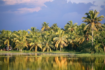 Backwater at Kerala 