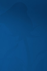 Color year 2020 blue flowers background