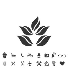 leaves plant icon vector illustration for website and graphic design symbol