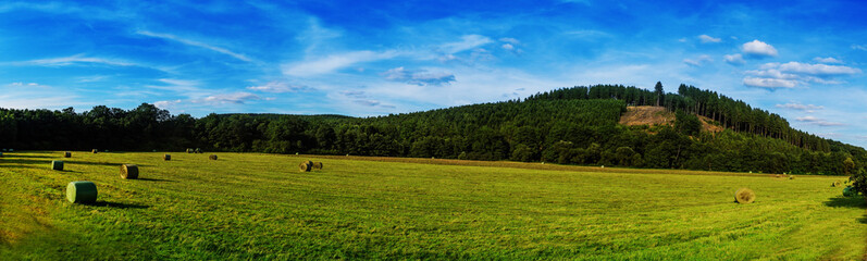 View over a agriculture area with a forest in the background