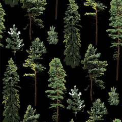 Repeated seamless pattern of various coniferous trees.