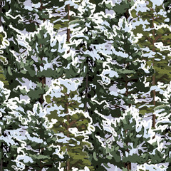 Forest of coniferous trees, covered with white snow.