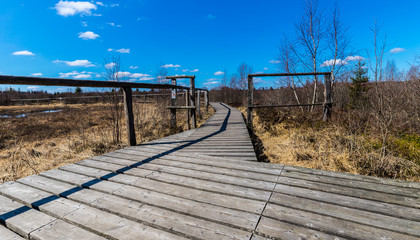 Holzsteg von einem Rundweg im Hohen Venn