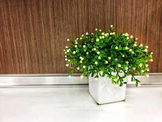 white flowers in a vase beside wooden wall