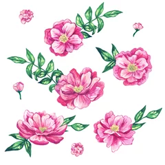 Tuinposter Set of beautiful pink flowers with leaves. Hand drawn watercolor illustration. Isolated on white background. © Taity