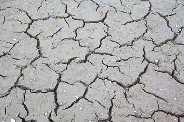 Cracked ground texture