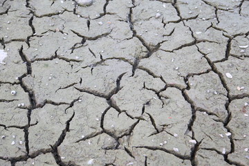 Cracked ground texture