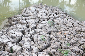 Cracked ground texture