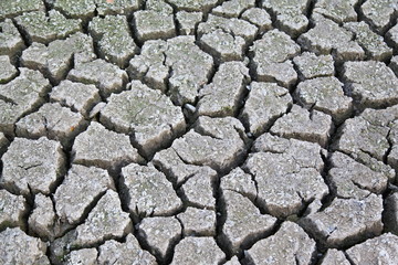 Cracked ground texture