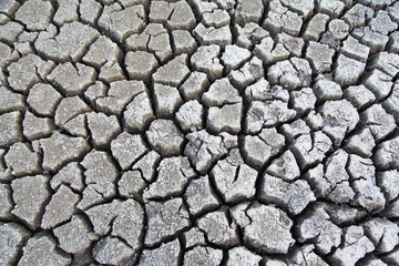 Cracked ground texture