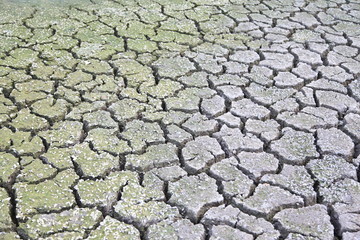 Cracked ground texture