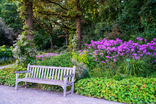 Botanischer Garten Photos Royalty Free Images Graphics Vectors Videos Adobe Stock