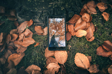 Fotografiando el otoño con un teléfono inteligente en el suelo mostrando una imagen en la...