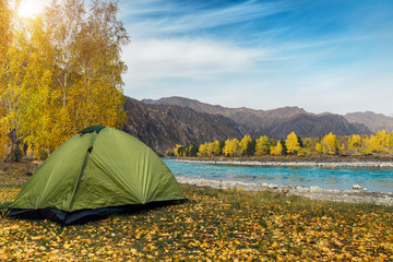 A two-person tent of light green color on the deserted bank of mountain river among yellow birches on sunny and warm autumn day. Tourist parking in beautiful  place in Altai mountains.