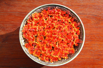 Caesalpinia Pulcherrima flower (peacock flower)