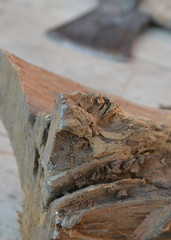 old rusty ax and firewood on background