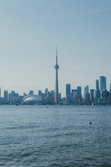 Toronto Skyline